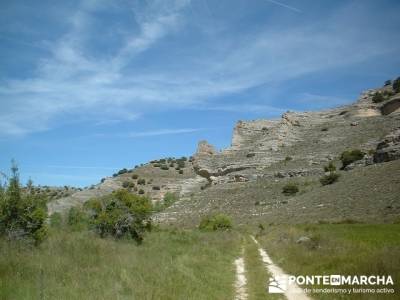 Sierra de la Pela - Barranco de Borbocid; Hiking free; senderismo comunidad de madrid